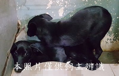 11410240013-14收-70