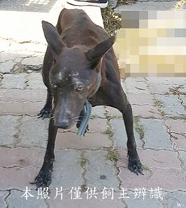 11410250005收-F35-6