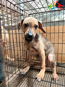 62cN7onHQ6C2anXyp2PzWw