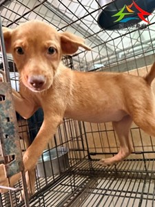 mh1soTOmuzjseMopoCo8gA