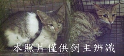 11411010011-12收-horz