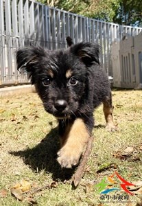 11409088011 中一 (1)