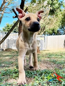 11409298007 中一 (3)