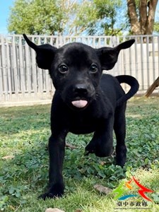 11409168005 中一 (2)