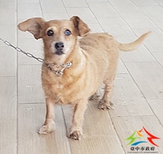 11410090015收-棄-開