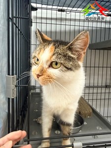 RcCv5Vc2jWVAQ_j3MHb6-Q