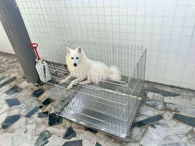 989BA125-89CF-4185-9570-5DFCB6E332A7.jpeg (1)