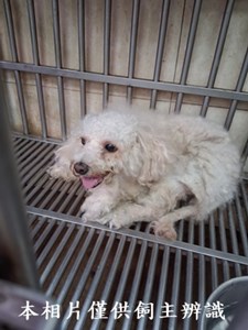 11411100016收-F36-1