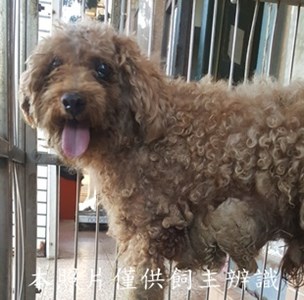 11411150015收-F39-5