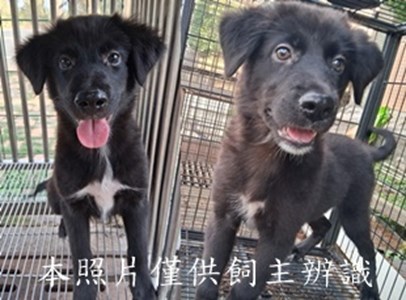 11411180001-2收-horz