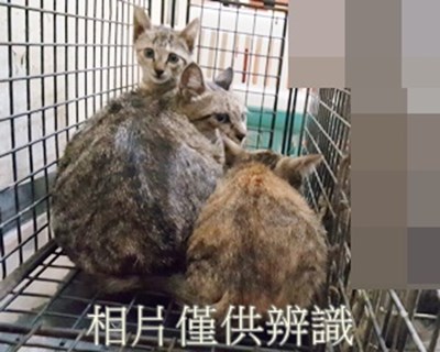 11411210014-16收-29