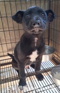 11411220008收-幼21