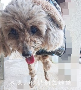 11411250001收-F40-4