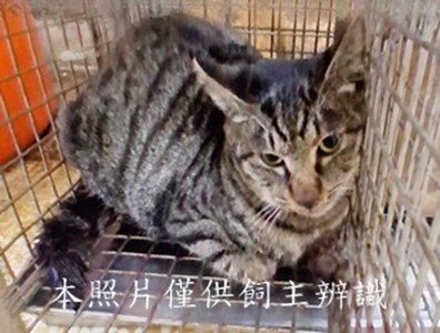 11411250007收急-12