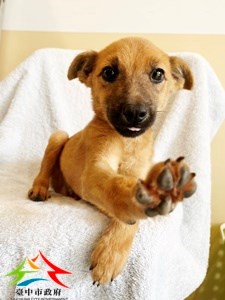 11410300007 永信 (1)