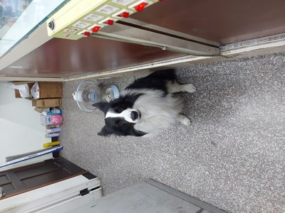 20251121_173321 (1).jpg