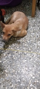 17640636262885060982418973269375.jpg (1)