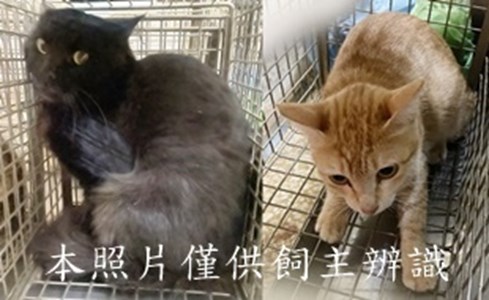 11411260004-5收-horz