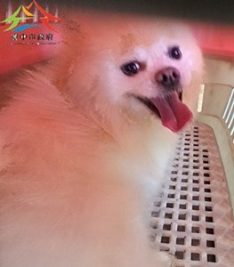 11411170010D9 F34-3-