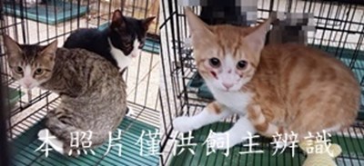 11412010014-16收-horz