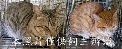 11412020013-14收-horz