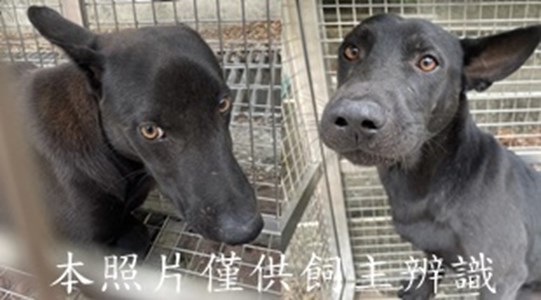 11412030003-4收-horz