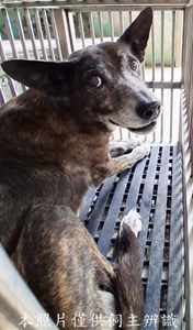 11412030020收-元17