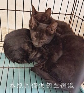 11412030025-27收-11