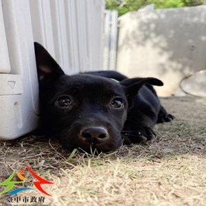 11410140005 聖心 (2)