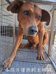 11412090006收-元25