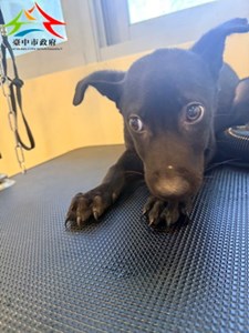 YWFfTgMH6tt8CU8Bs47trQ