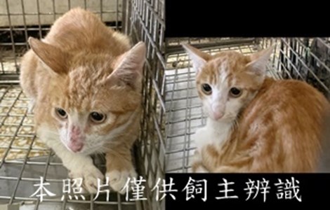 11412100002-3收-horz