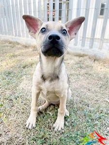 11412040018 金生 (3)