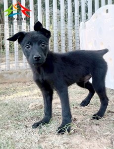 11409058010 金生 (1)