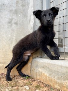 11410310010 安生 (2)