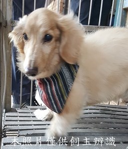 11412120027收-F38-5