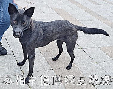 11412136003_4F5棄養