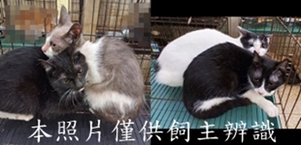 11412130012-15收-tile