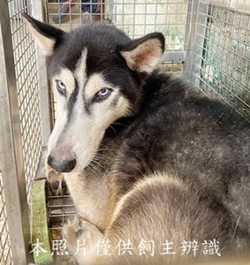 11412150002收走道