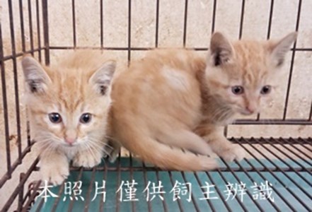 11412190019-20收-77