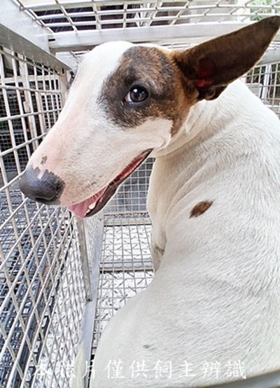 11412190025收-F36-4