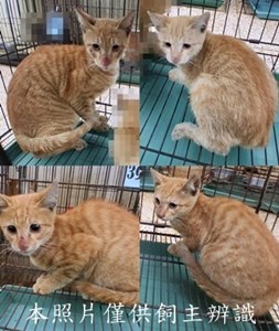 11412200003-6收-tile