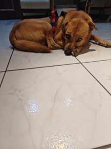 IMG_20251224_112323.jpg (1)