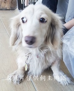 11412220011收-棄臘