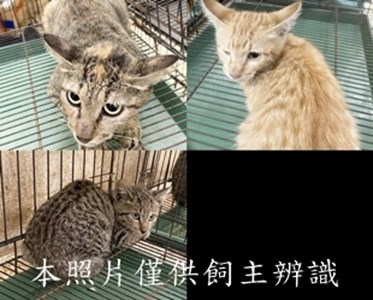 11412220017-19收-tile