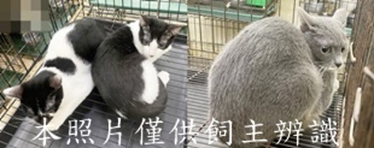 11412220021-23收-tile