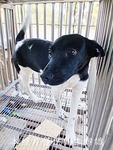 11412240012-1收-F34-3