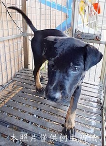 11412240013-1收-幼7