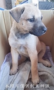 11412240014-1收-幼6