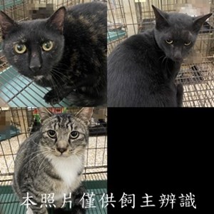 11412260005-7收-tile